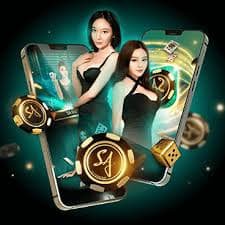 bet4bet